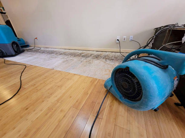 Professional Structural Drying technician working in Georgetown, CT